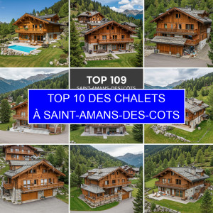 Top 1 des Chalets à Saint-Amans-des-Cots